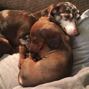 Meet your Posher, Mandy